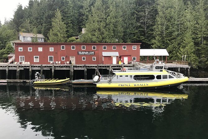 Vancouver Island Half-Day Whale Watching Tour - Telegraph Cove - The Sum Up: Is This the Right Whale Watching Tour for You?