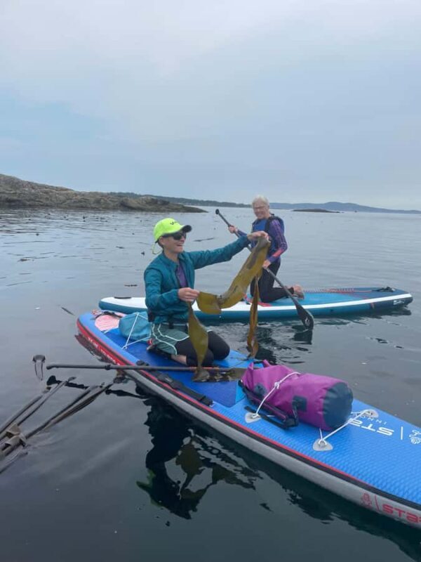 Vancouver Island: Marine Ecological Tour with Mer Tales - An Inside Look at the Vancouver Island Marine Ecological Tour with Mer Tales