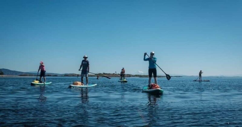 Vancouver Island: Marine Ecological Tour with Mer Tales - What You’ll See and Experience