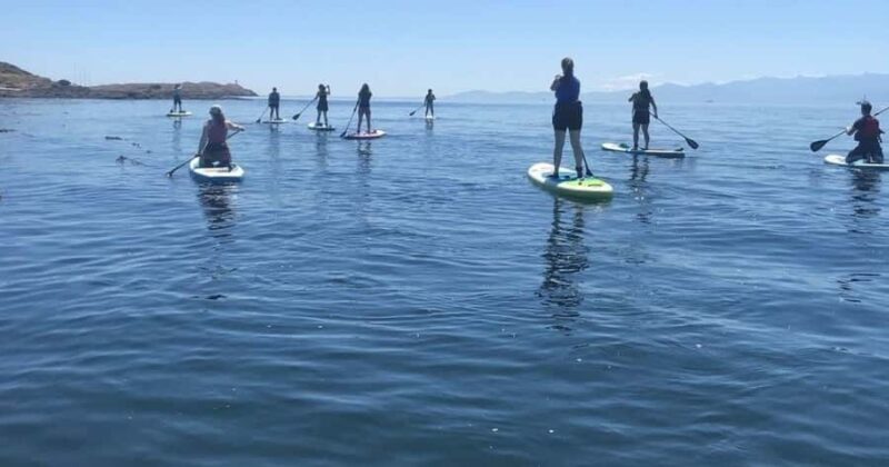 Vancouver Island: Marine Ecological Tour with Mer Tales - The Practicalities: What to Expect