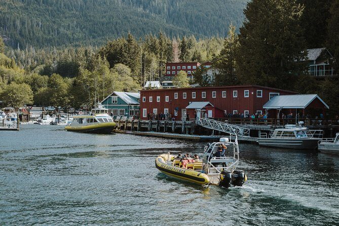 Vancouver Island Zodiac Whale Watching Adventure - Telegraph Cove - Key Points