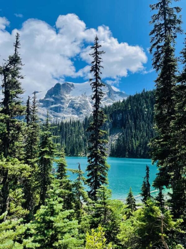Vancouver: Joffre Lakes Park Hike and Whistler Day Trip - Who Would Love This Tour?
