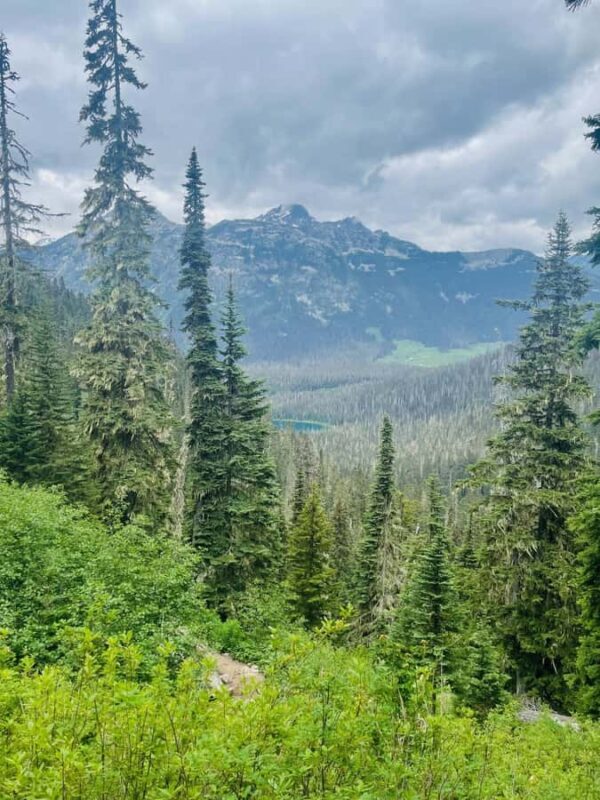 Vancouver: Joffre Lakes Park Hike and Whistler Day Trip - FAQ