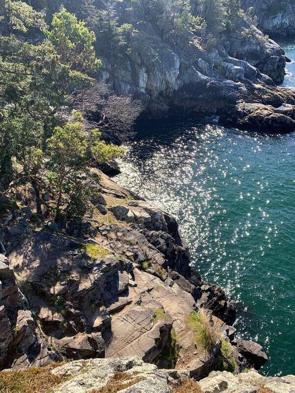 Vancouver: Lighthouse Park Hike - An In-Depth Look at the Lighthouse Park Hike