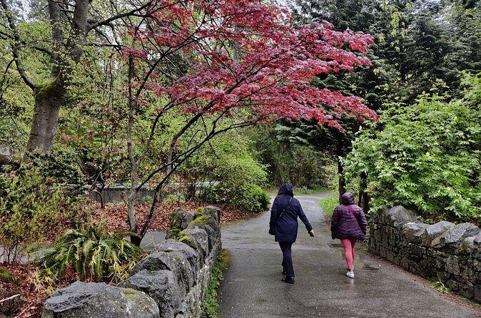 Vancouver Like a Local: Customized Private Tour - Analyzing the Value