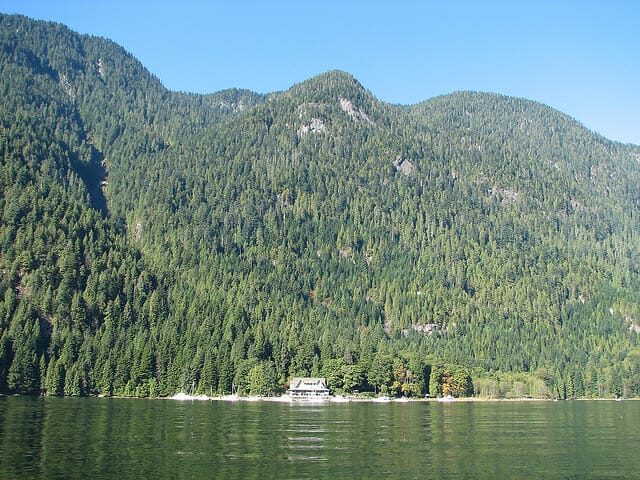 Vancouver: Lunch and Brunch Cruises - Who Is This Cruise Best For?