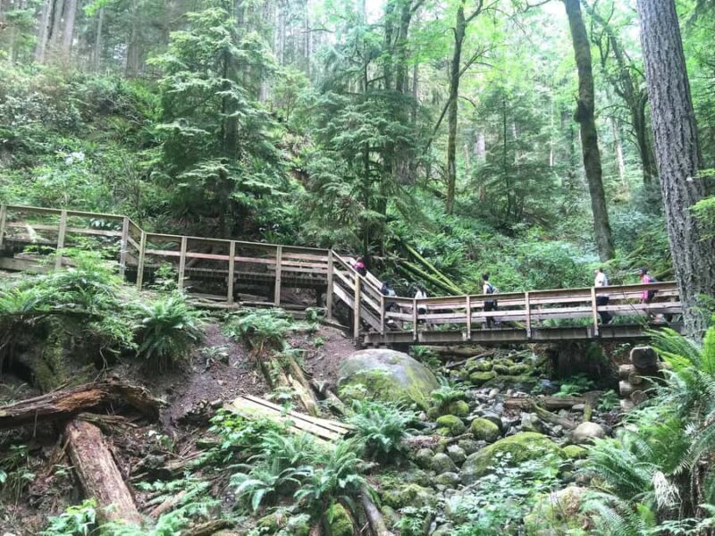 Vancouver: Lynn Canyon Park Hike & Pitt Meadows Bike Tour - Key Points