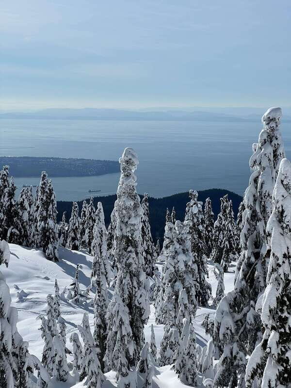Vancouver: North Shore Mountains Snowshoeing with Transfer - Analyzing the Value
