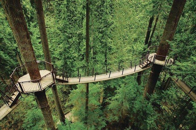 Vancouver Perfect Day Tour Grouse Mountain`& Capilano Suspention Bridge Private - The Sum Up