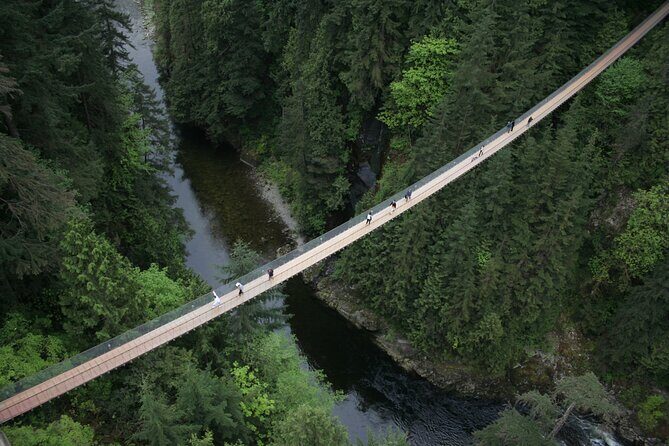 Vancouver Pre & Post Cruise Capilano & Grouse mountain tour - The Itinerary in Detail: What You Can Expect