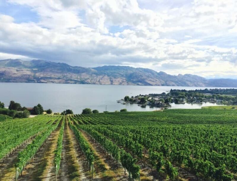 Vancouver: Private Kelowna Wine Country & Bike Tour - Key Points