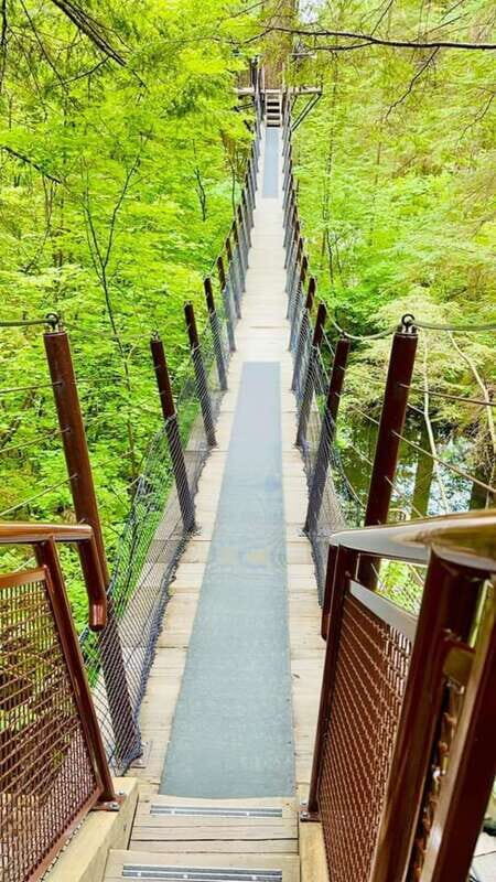 Vancouver: Private Tour City Sights, FlyOver & Capilano - An In-Depth Look at the Tour