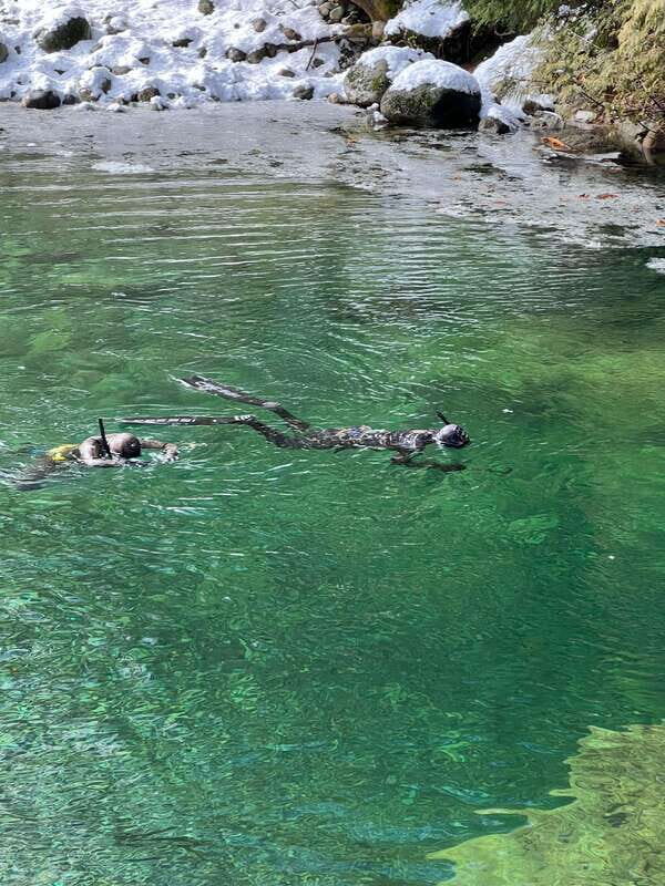 Vancouver: Rainforest Waterfall Hike and Suspension Bridge - Who Should Consider This Tour?