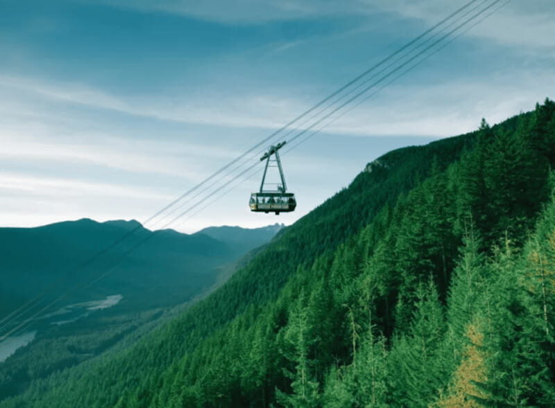 Vancouver: Small Group Tour w/Capilano & Grouse Mtn Lunch - Who Will Love This Tour?