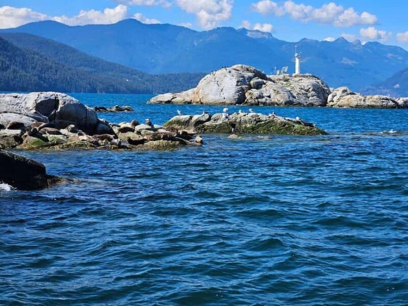Vancouver: Snorkel, Kayak, and Seal Adventure Boat Tour - Key Points