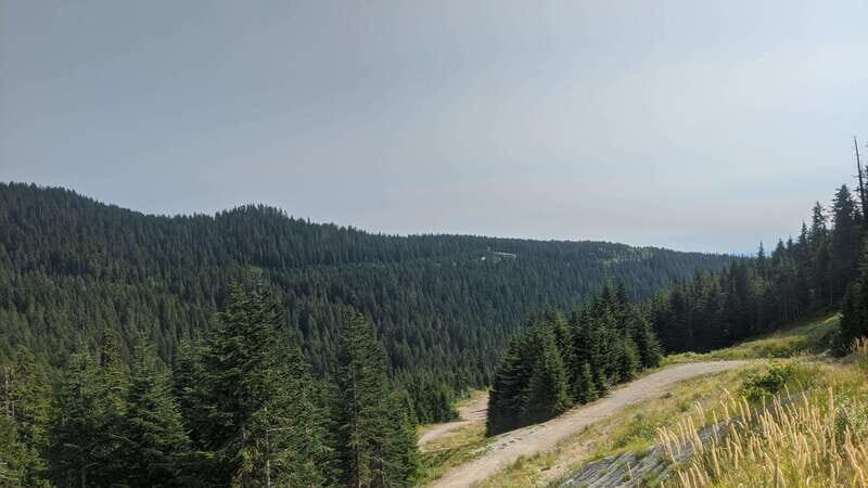 Vancouver, Squamish, Cypress Mountain Day Tour - Who Will Love This Tour?