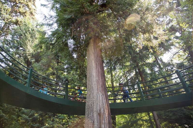 Vancouver: Stanley Park Bicycle Tour - Key Points