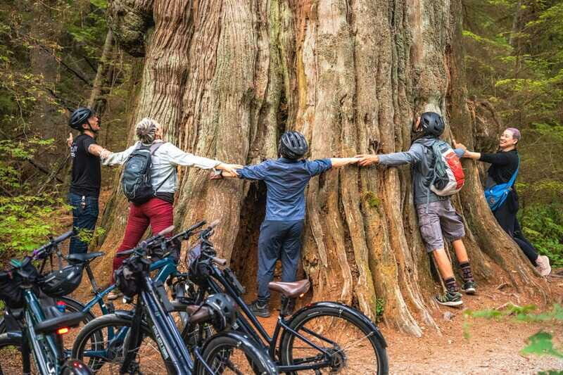 Vancouver: Stanley Park Bicycle Tour - The Experience and What to Expect