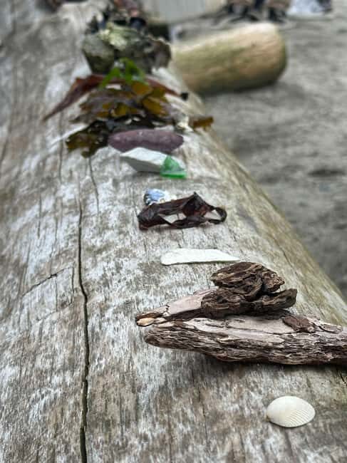 Vancouver: Stanley Park Salish Sea & Me - Practical Details and Tips