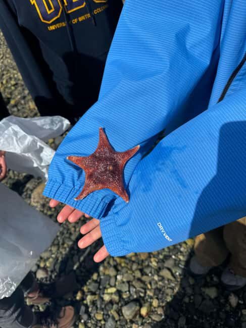 Vancouver: Stanley Park Salish Sea & Me - Who Is This Tour Best For?