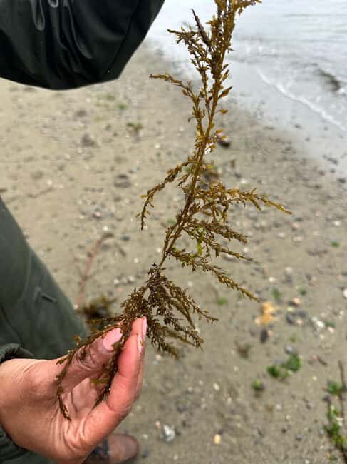 Vancouver: Stanley Park Salish Sea & Me - Frequently Asked Questions