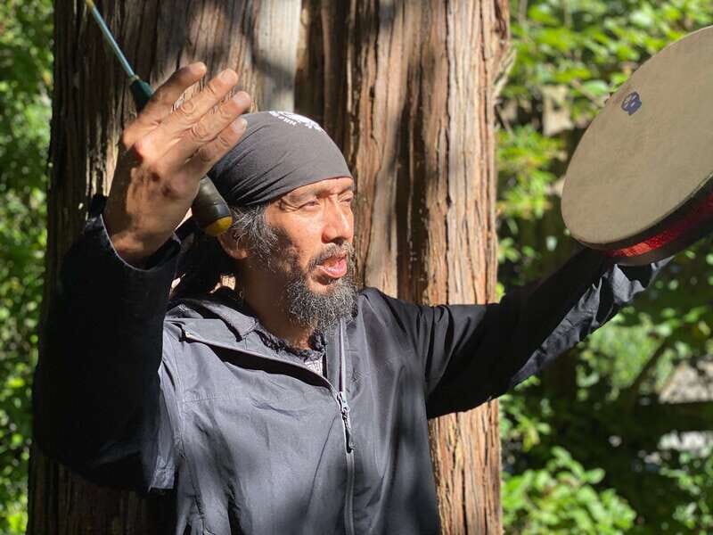 Vancouver: Stanley Park Talking Trees Tour - A Closer Look at the Tour Experience