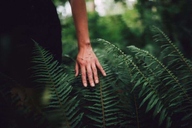 Vancouver: Stanley Park Talking Trees Tour - FAQ