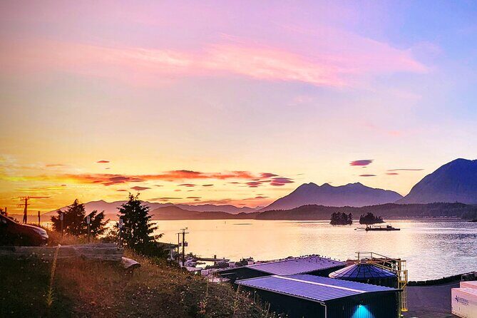 Vancouver to Tofino 2 Day Tour Private - An In-Depth Look at the Experience