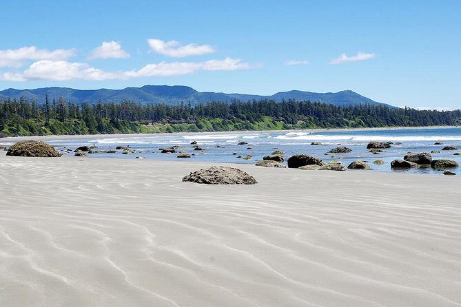 Vancouver to Tofino 2 Day Tour Private - The Sum Up