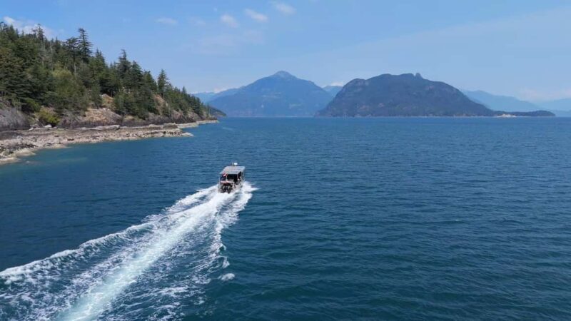 Vancouver UNESCO Biosphere Reserve Wildlife Scenic Boat Tour - Key Points