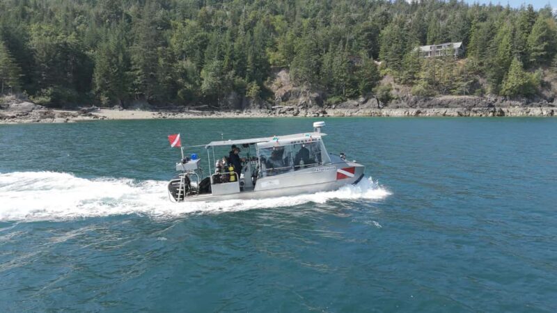 Vancouver UNESCO Biosphere Reserve Wildlife Scenic Boat Tour - Price and Value