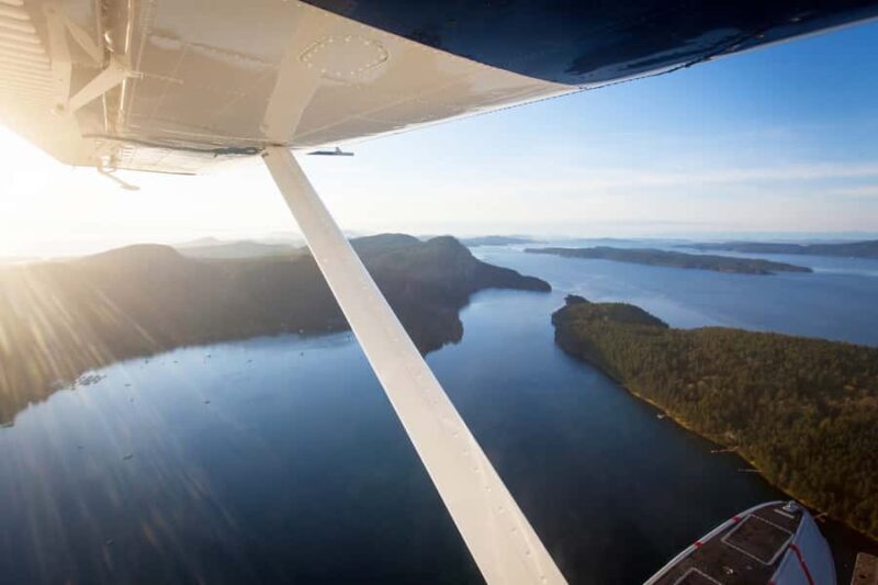 Vancouver: Victoria Day Trip by Seaplane and Whale Watching - An Overview of the Experience