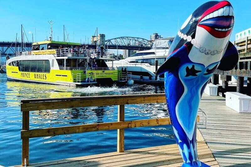 Vancouver: Whale Watching Adventure with Private City Tour - Key Points