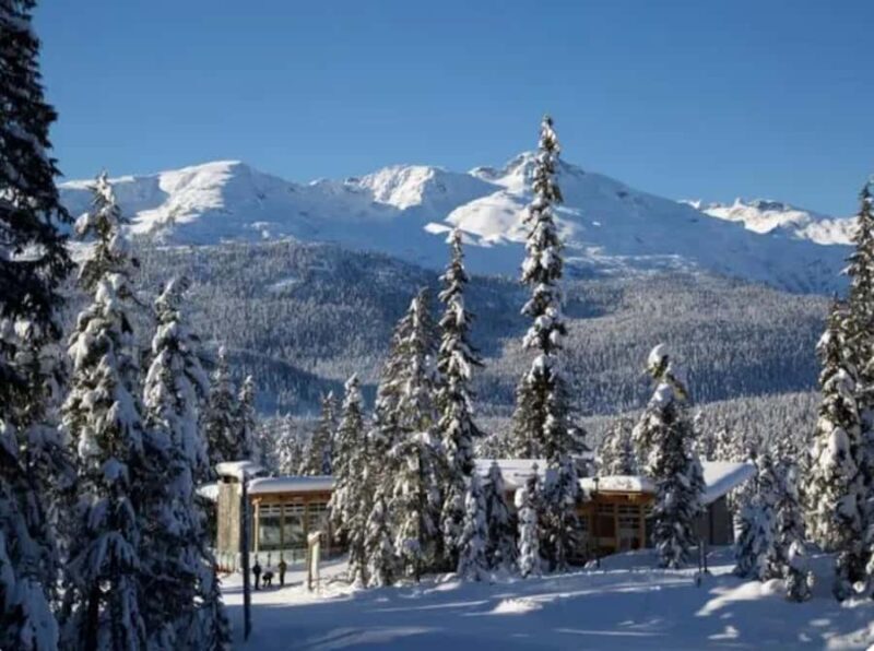 Vancouver: Whistler Day with Snowshoeing/Nordic Skiing - Key Points