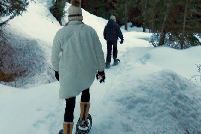 Vancouver: Whistler Olympic Dream - A day in the Snow Tour - Final Thoughts