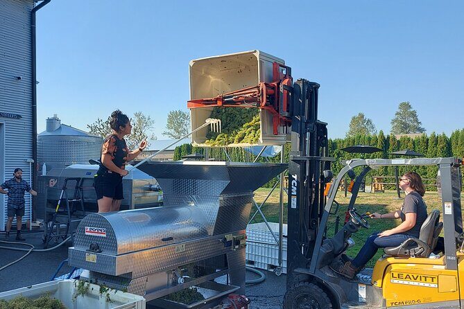 Vancouver Wine Tour (Fraser Valley) - Authentic Feedback from Travelers