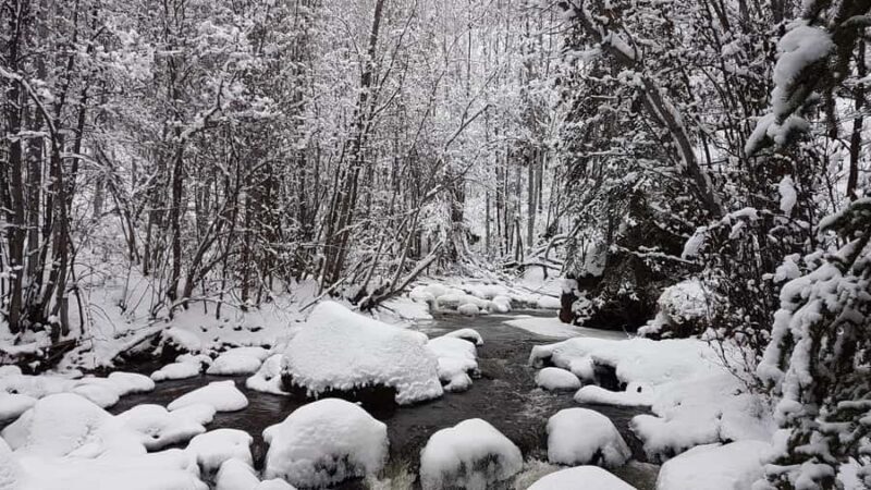 Vancouver:Guided Snowshoe Adventure in North Shore Mountains - How This Tour Stands Out