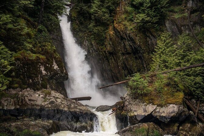 Vancouver's City and Waterfall | Waterfront Sightseeing Tour - An Overview of the Experience