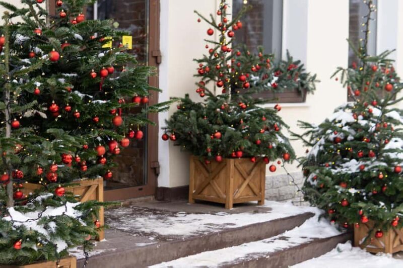 Vancouvers Festive Shore : Christmas Private Walking Tour - Detailed Breakdown of What You’ll Experience