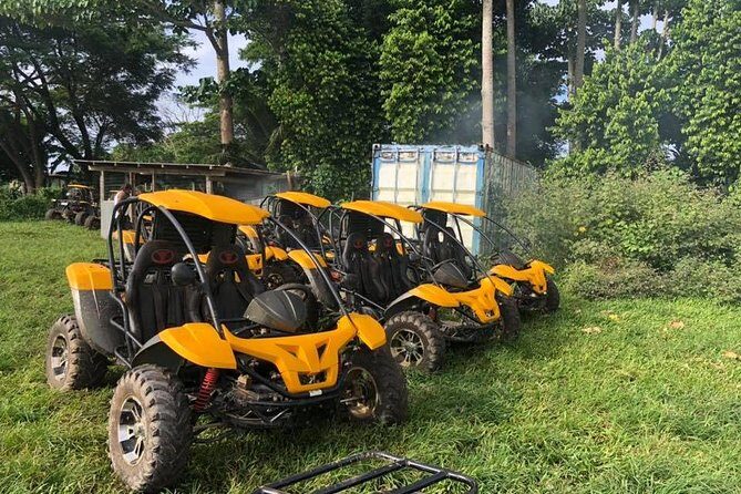 Vanuatu Buggy Adventure with Yumi Tours - The Itinerary in Detail: What to Expect