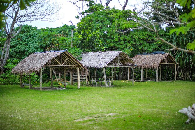 Vanuatu Cultural Village, Waterfalls, Turtles and Blue Lagoon - Who Should Consider This Tour?