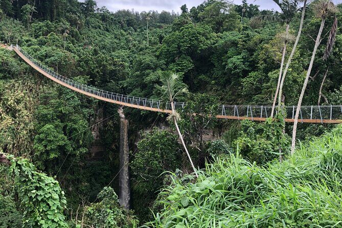 Vanuatu Jungle Zipline, Swing and Skybridge Combo with Transfer - The Sum Up: An Adventure Worth Booking