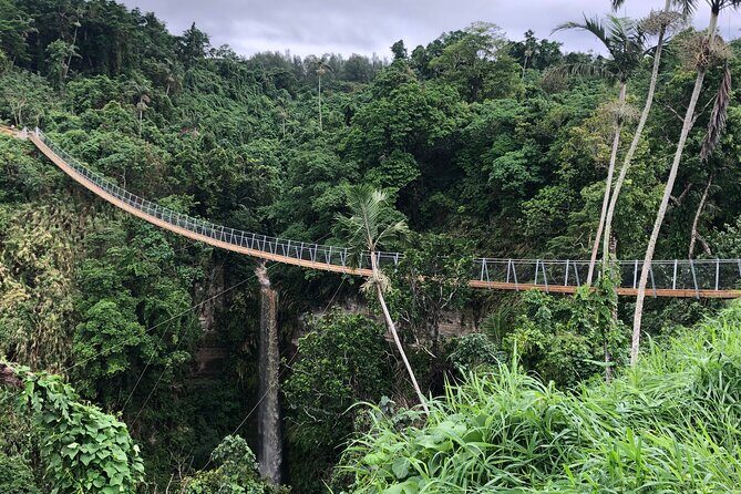 Vanuatu Skybridge with Transfers - Who Will Enjoy This Tour?