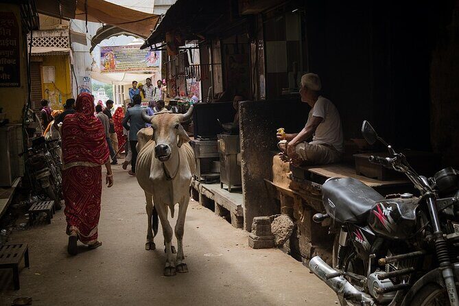 Varanasi Photography Tour with Lunch - The Sum Up