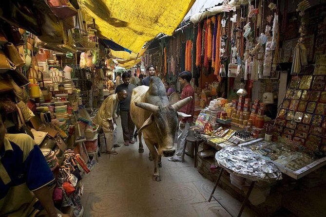 Varanasi Spiritual Walk: Explore Temples, Ghats & Sacred Sites - An Immersive Walk Through Varanasi’s Sacred Streets