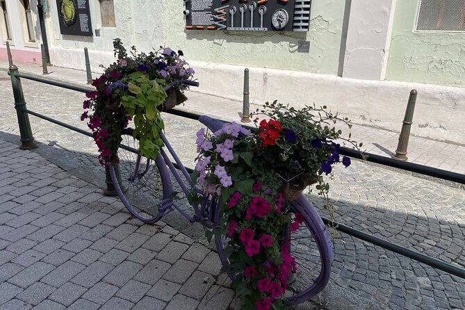 Varazdin Baroque Town & Trakoscan Castle, Small Group from Zagreb - Who Should Book This Tour?
