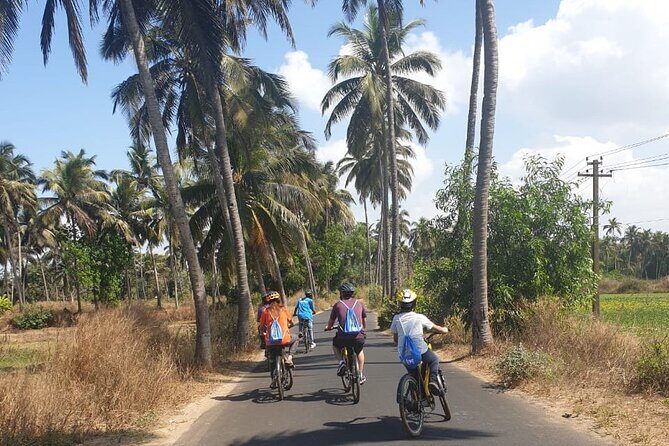 Varca Coastal E-Bike Tour: Scenic Beachside Adventure - An In-Depth Look at the Varca Coastal E-Bike Tour
