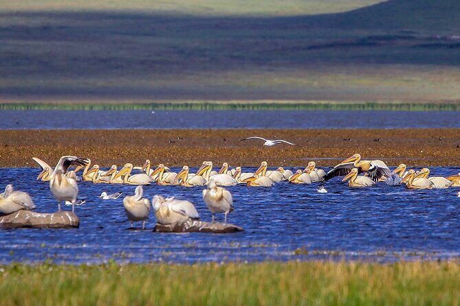 Vardzia. Lake Paravani, Khertvisi & Lomisa castle, Rabati - Scenic Return via Borjomi