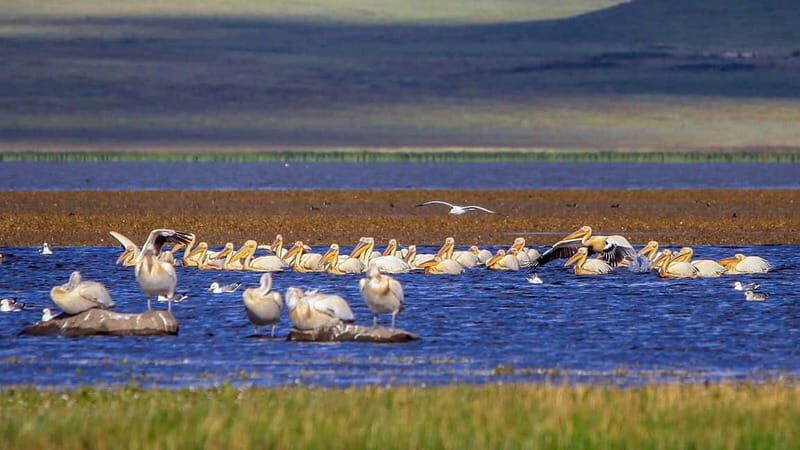 Vardzia. Lake Paravani, Khertvisi & Lomsia castle, Rabati - Vardzia: The Highlight of the Day