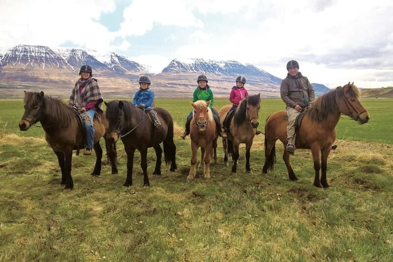 Varmahlid: 1-Hour Icelandic Horse Riding Tour - An In-Depth Look at the Experience